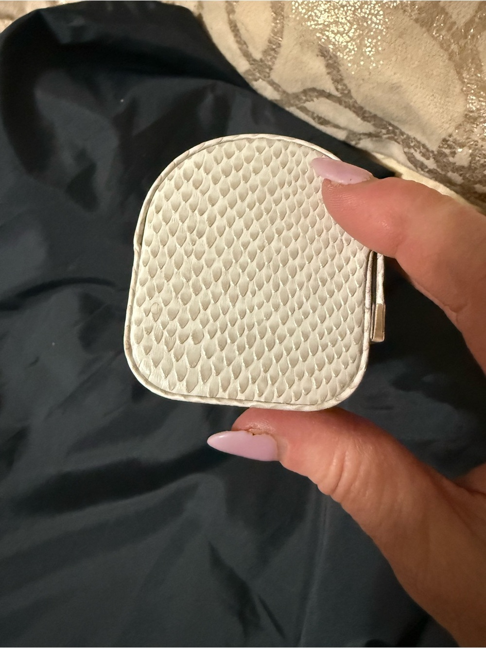 Jimmy Choo Sunglasses Case with Gold Logo Bar - Picture 6 of 6